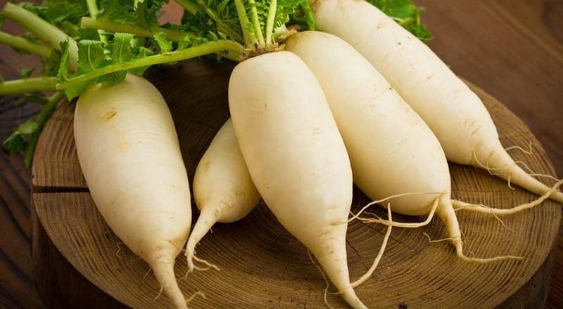 Lê kỵ với củ cải