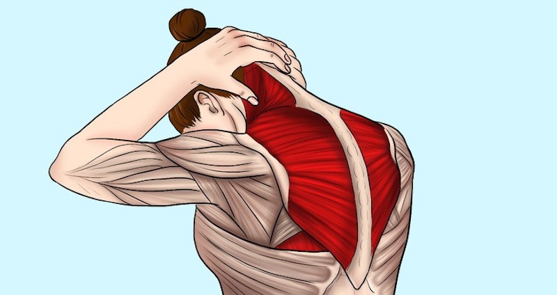 Kéo giãn cơ để giảm đau mỏi