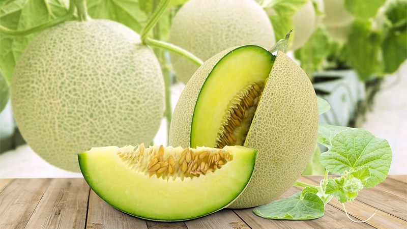 Dưa lưới nhiều nước và giàu chất xơ