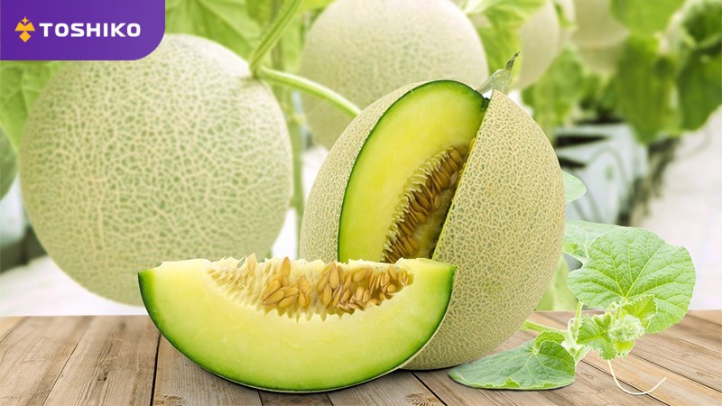 Ăn dưa lưới có mập không? Bí kíp giảm cân hiệu quả với dưa lưới