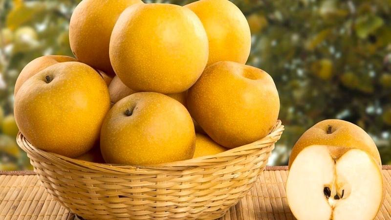 Lê giàu giá trị dinh dưỡng