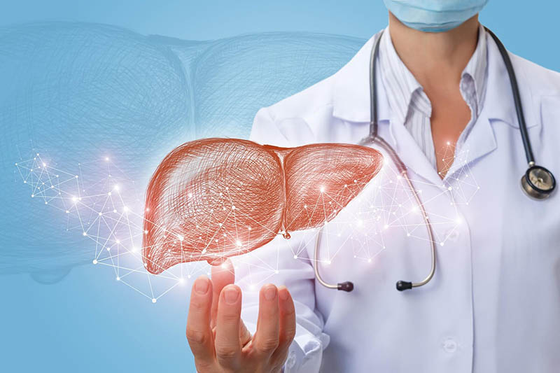 Chiết xuất từ lựu giúp bảo vệ sức khỏe gan và thận