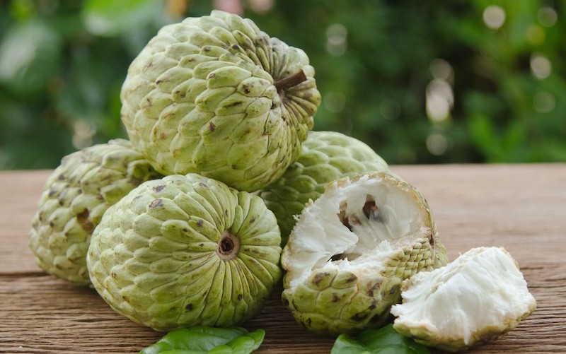 Na rất giàu dinh dưỡng nhưng lại có lượng calo tương đối thấp