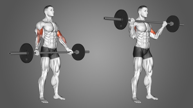 Bài tập Wide Grip Curl