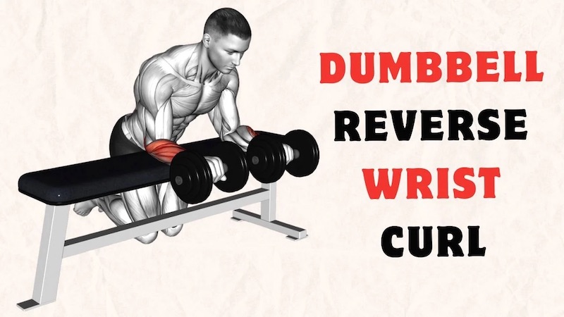 Dumbbell One-Arm Reverse Wrist Curl tăng sức mạnh cổ tay