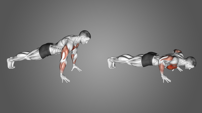 Bài tập Fingertip Push-Up