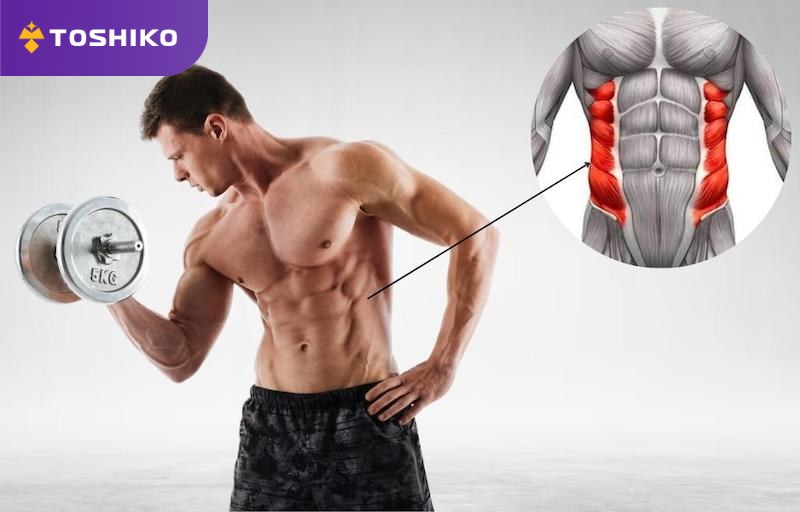 7 bài tập cơ liên sườn hiệu quả cao giúp nâng cấp body