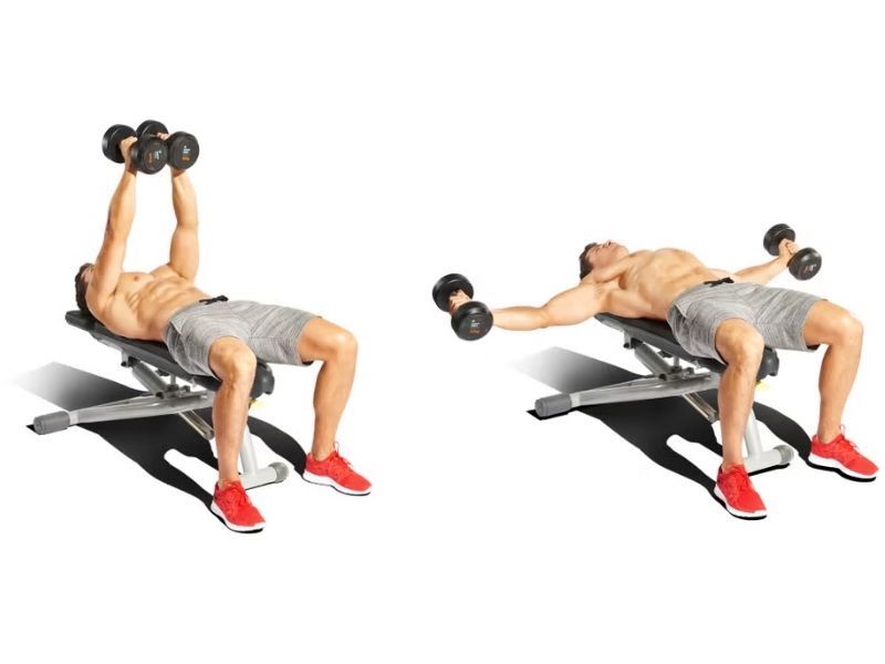 Tập Dumbbell Decline Fly với tạ đơn