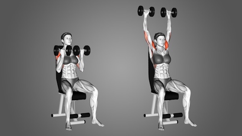 Bài tập tạ tay Shoulder Press