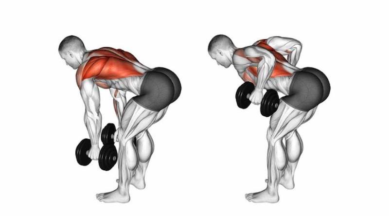 Bài tập tạ tay Bent-Over Row