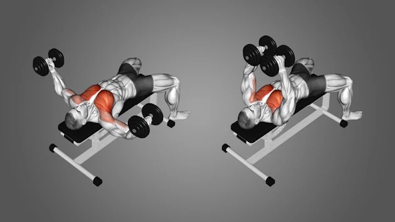 Dumbbell Bench Fly