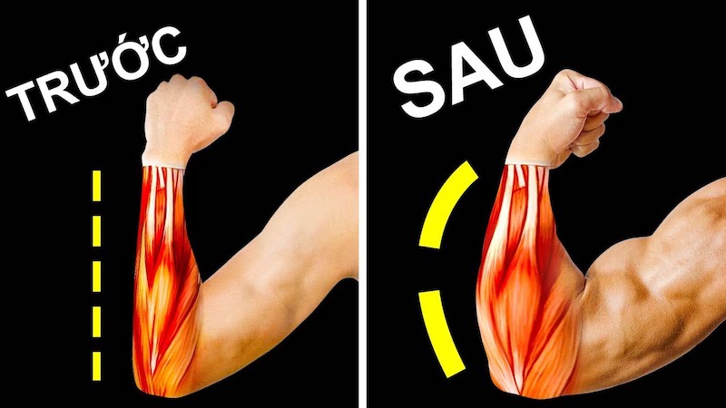 Cải thiện cơ bắp tay sau với các bài tập bằng gậy lò xo