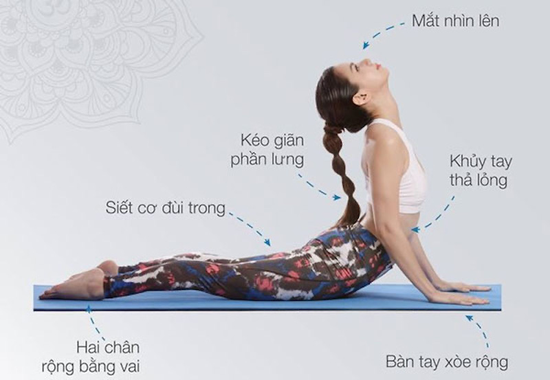 Tư thế rắn hổ mang