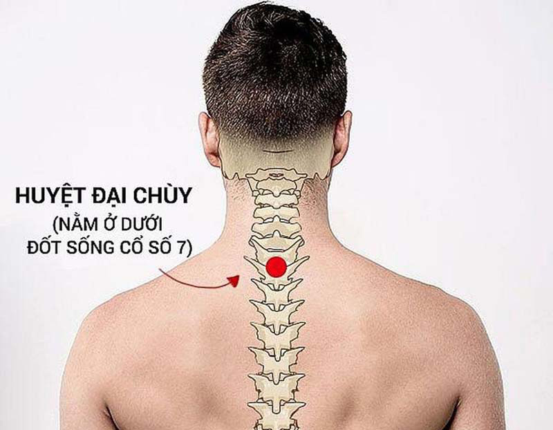 Huyệt Đại Chùy