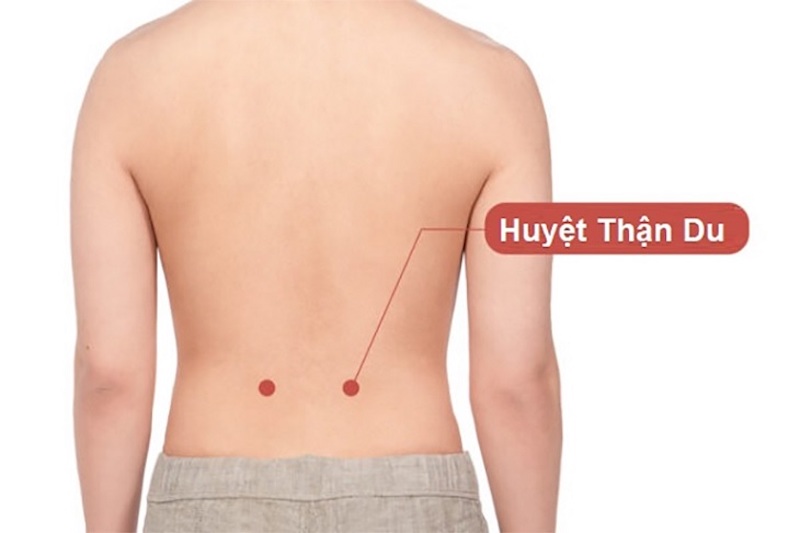 Huyệt Thận Du giúp điều hòa sinh lý và tiểu tiện