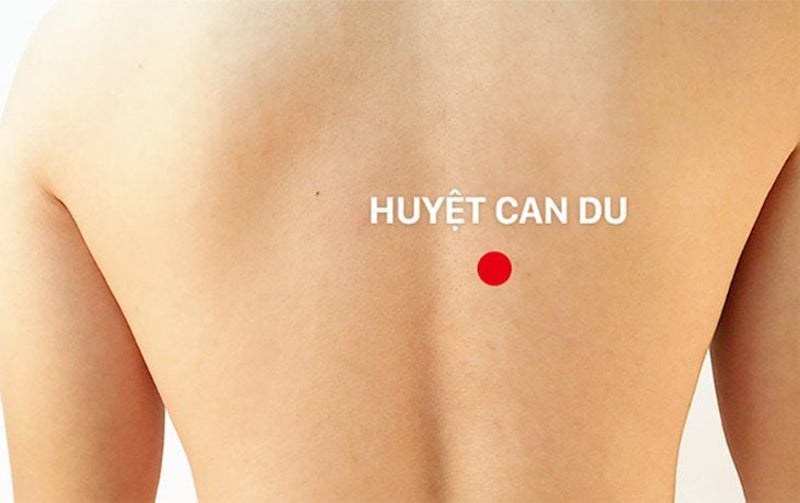 Bấm huyệt can du giúp hỗ trợ chữa đầy bụng, điều hòa gan khí
