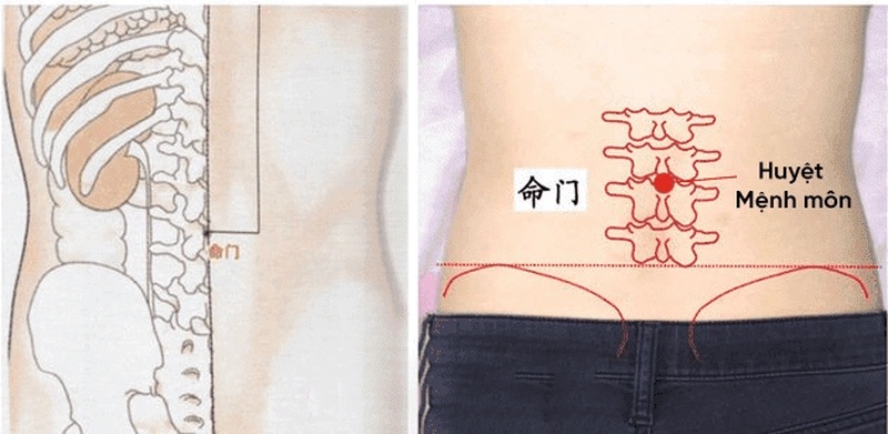 Bấm huyệt Mệnh Môn trị đau lưng
