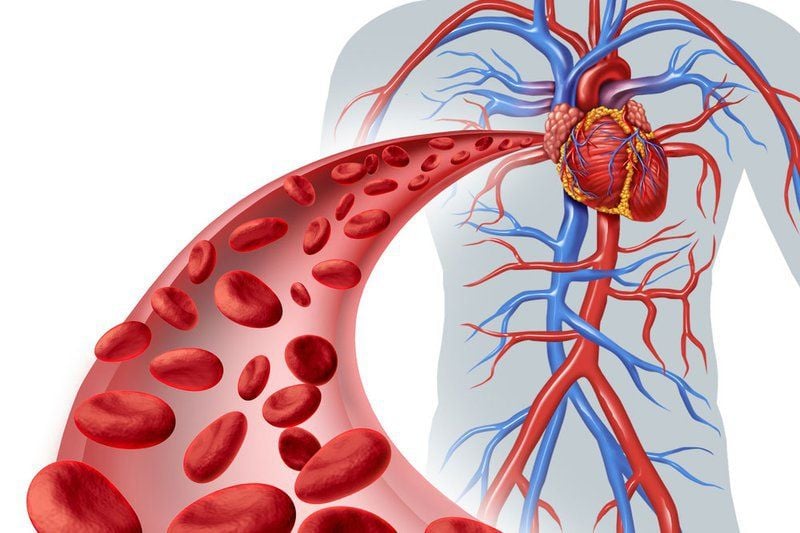 Trong một số trường hợp có thể gây ảnh hưởng đến tuần hoàn máu