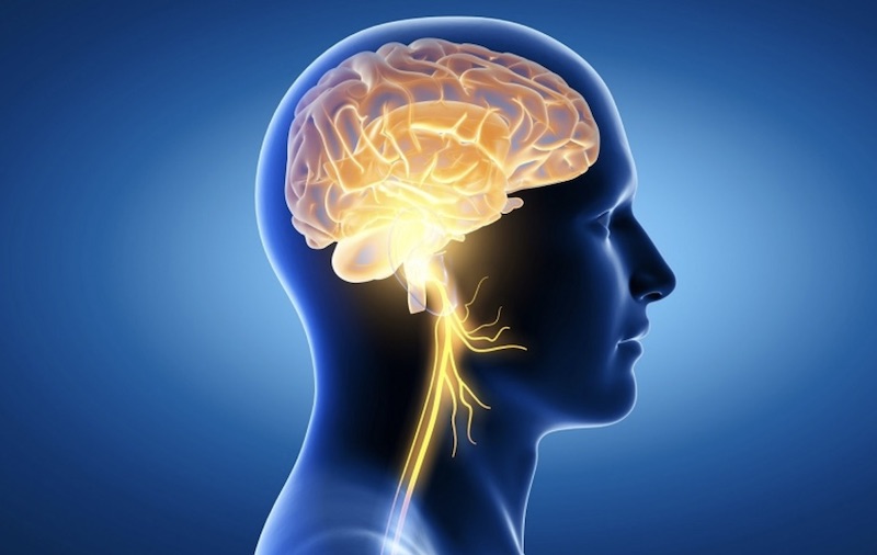 Trí nhớ được tăng cường