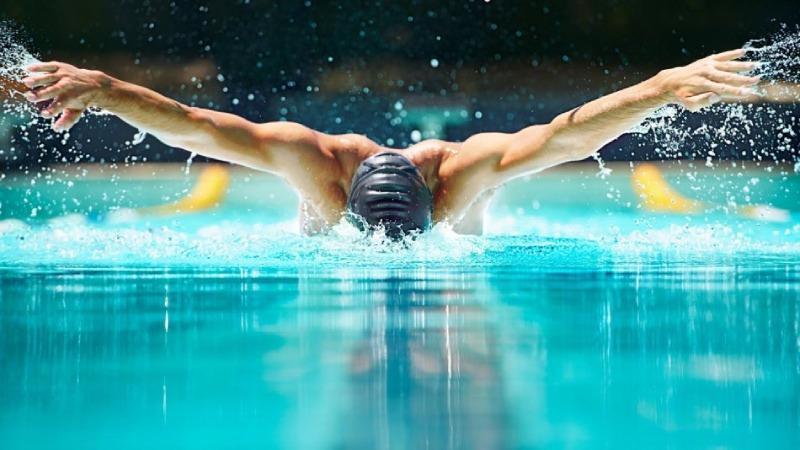 Bơi lội là hoạt động thể chất giúp đốt cháy lượng lớn calo