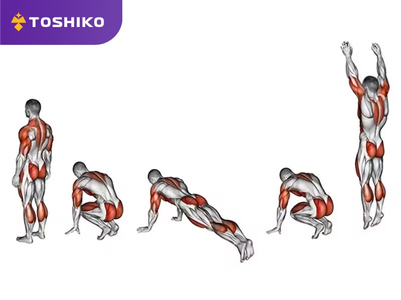 Burpees là gì? Cách tập burpees giúp đốt cháy mỡ thừa hiệu quả