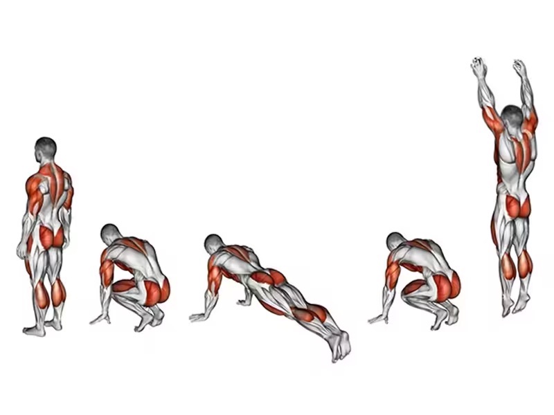 Các bước tập bài Buprees cơ bản