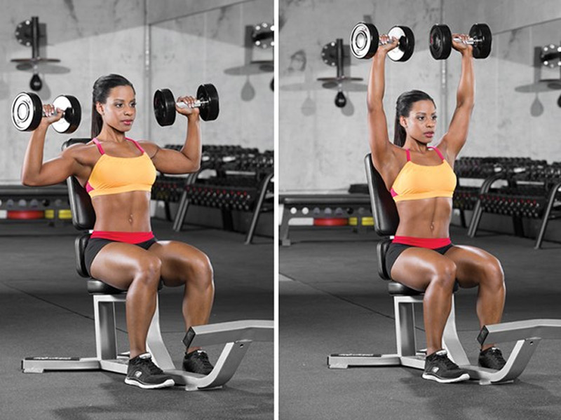 Seated Dumbbell Press cải thiện sức mạnh thân trên