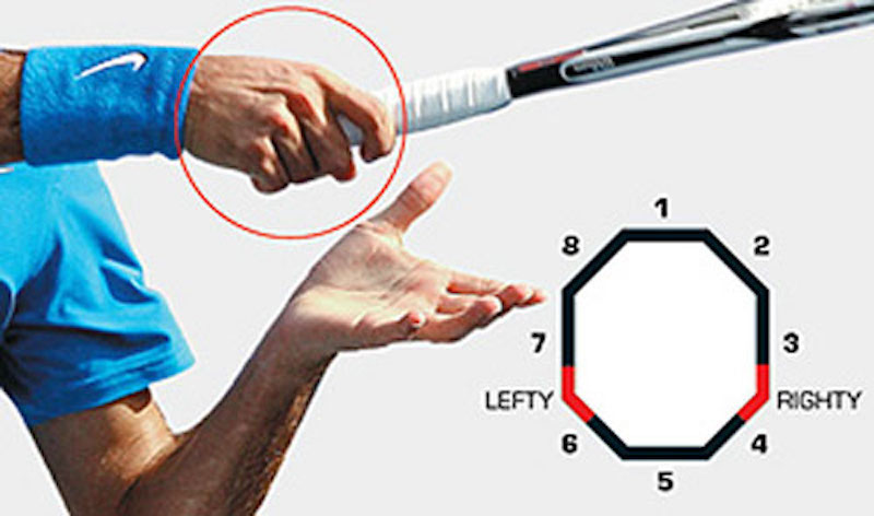 Cấu trúc giải phẫu của vợt tennis
