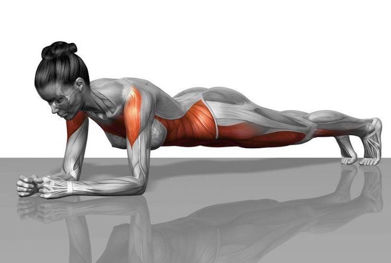 Nguyên tắc hít thở 4 - 4 trong tập plank