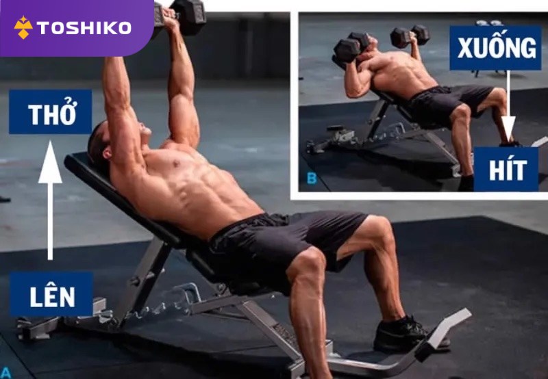Cách hít thở khi tập gym và những nguyên tắc quan trọng cần ghi nhớ