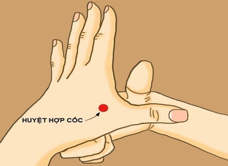 Xác định huyệt Hợp Cốc giữa ngón tay trỏ và ngón tay cái