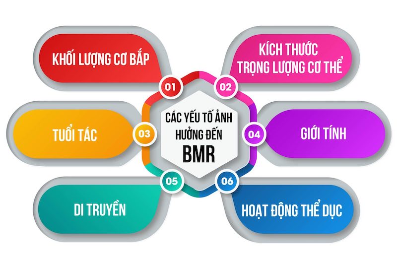 BMR chịu ảnh hưởng bởi nhiều yếu tố khác nhau