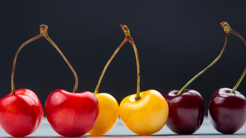Cherry có rất nhiều loại khác nhau