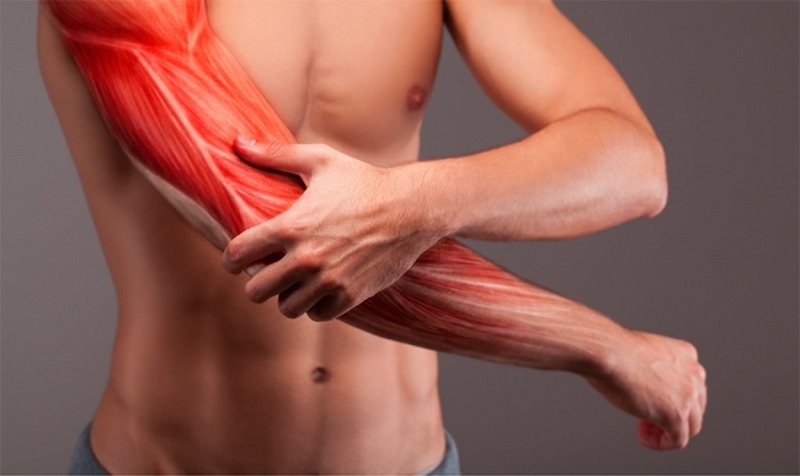 Sử dụng ghế mátxa giúp giảm đau cơ bắp