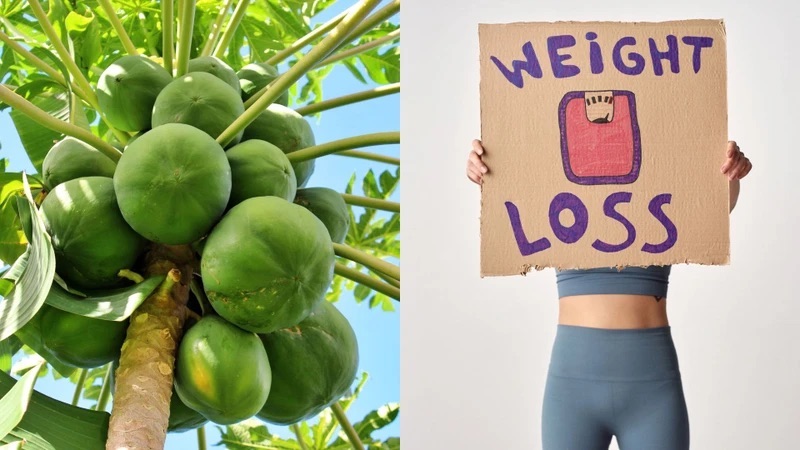 Đu đủ hỗ trợ giảm cân nếu sử dụng đúng cách