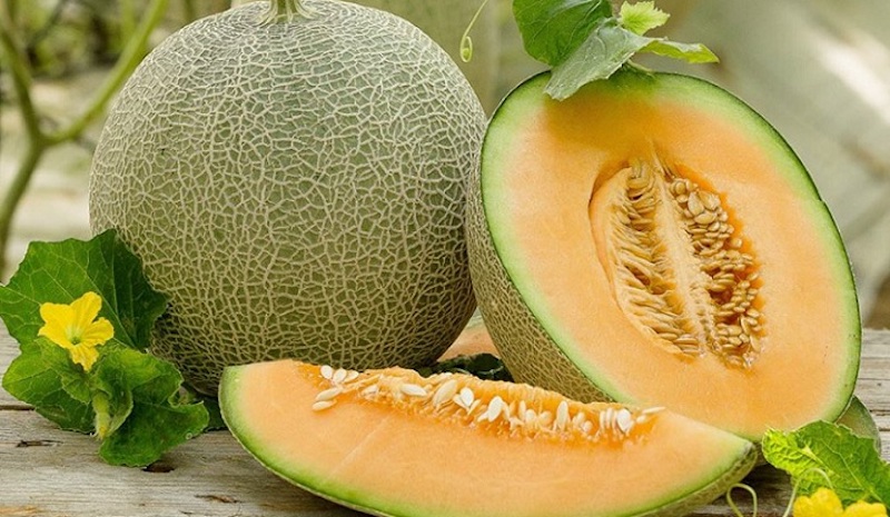 Tránh chọn dưa bị sâu hỏng