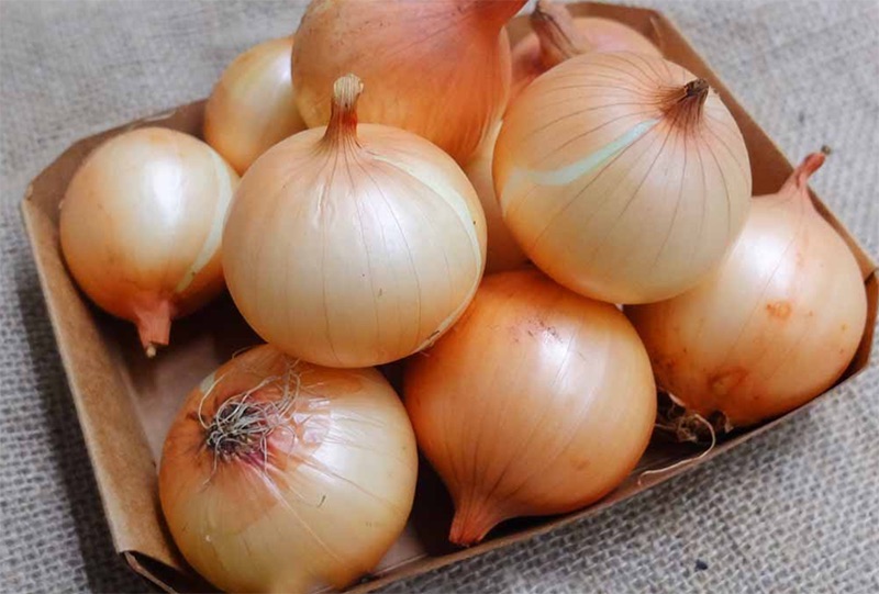 Hành tây có lượng calo khá thấp