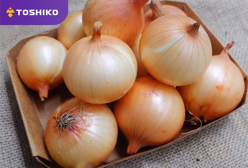 Hành tây bao nhiêu calo? Công dụng của hành tây