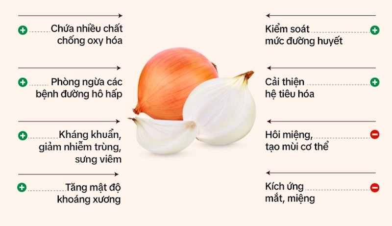 Hành tây chứa nhiều hợp chất dinh dưỡng có lợi cho sức khỏe