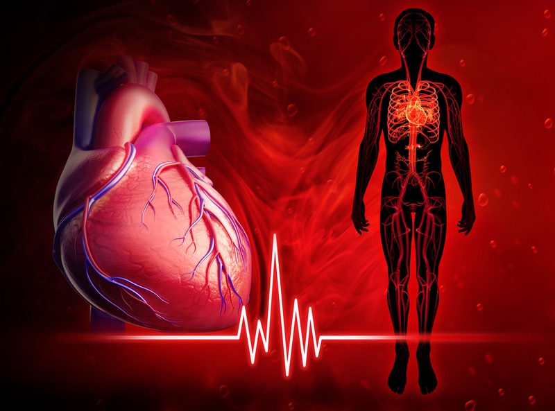 Lượng máu ảnh hưởng đến chỉ số đo huyết áp