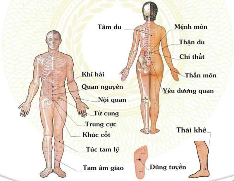 Huyệt đạo là những vị trí đặc biệt trên cơ thể