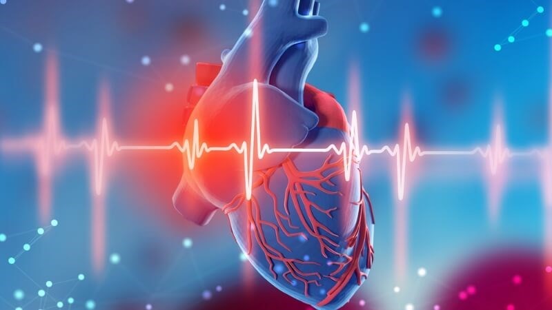 Các chất có trong khổ qua giúp bổ trợ cho sức khỏe tim mạch