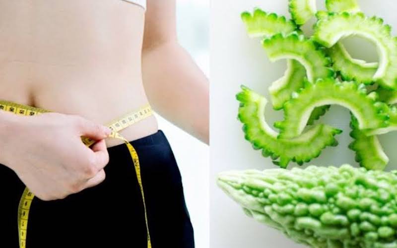 Ăn khổ qua giúp đốt mỡ giảm cân