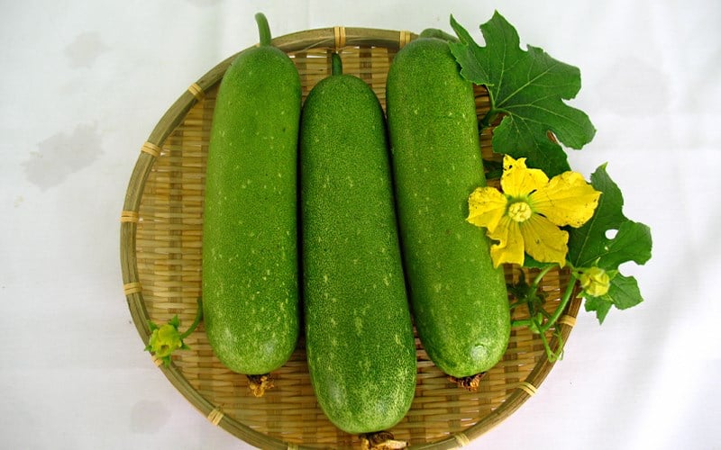 Bí xanh đặc biệt tốt cho sức khỏe