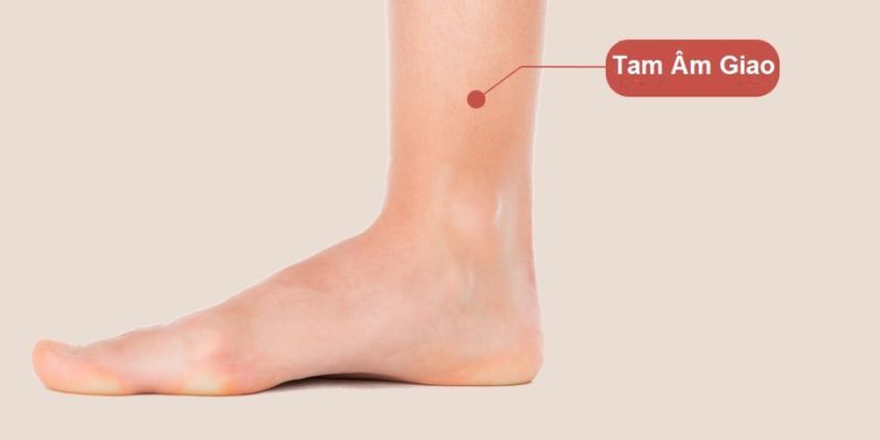 Nhấn huyệt tam âm giao giúp điều hòa nội tiết và thần kinh