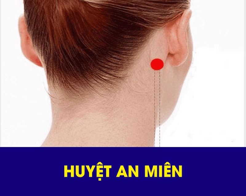 Huyệt an miên có liên kết trực tiếp với hệ thần kinh trung ương