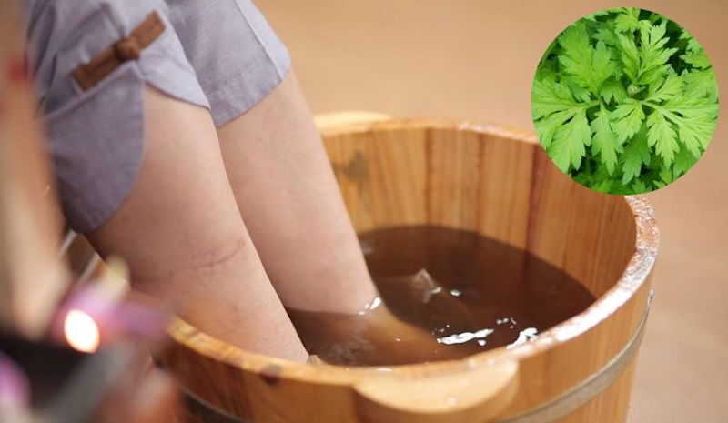 Nước ngâm chân được nấu từ lá ngải cứu