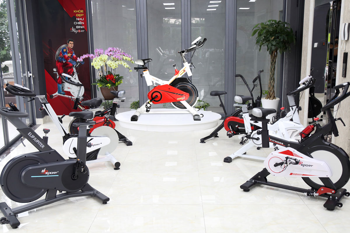 Xe đạp thể dục tại chỗ Elipsport