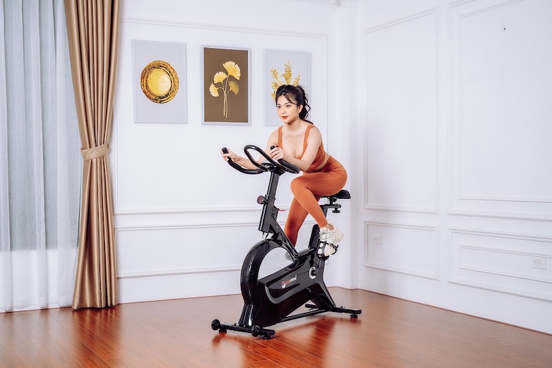 Xe đạp thể dục trong nhà Tài Phát Sport
