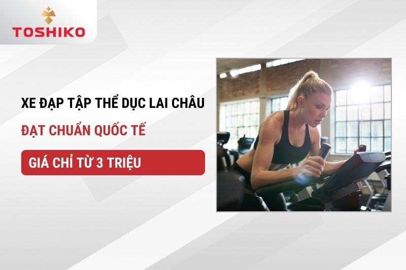 Xe đạp tập thể dục Lai Châu đạt chuẩn quốc tế, giá chỉ từ 3 triệu